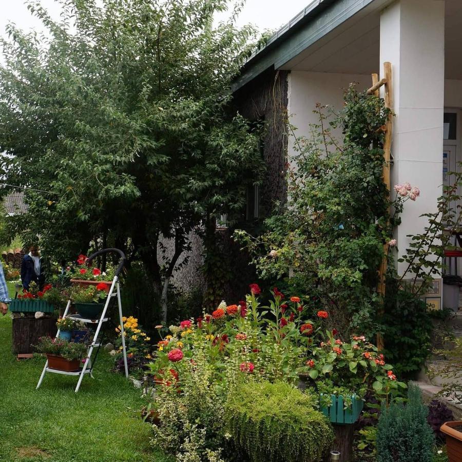 Leila'S Guest House Joqolo Exterior photo